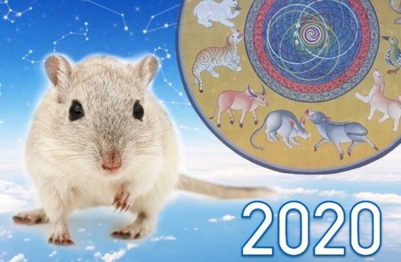 2020 год Металлической Крысы — время перемен!