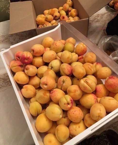 Вкуснейшие фрукты из Армении