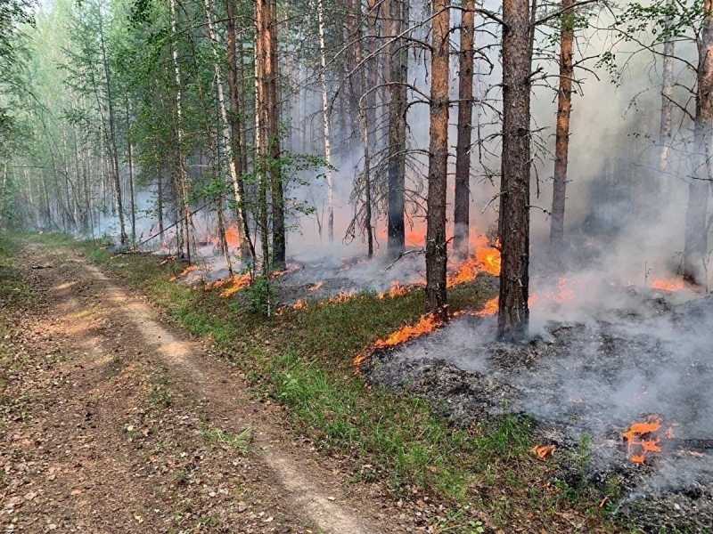 В ХМАО загорелся лес в еще одном заповеднике