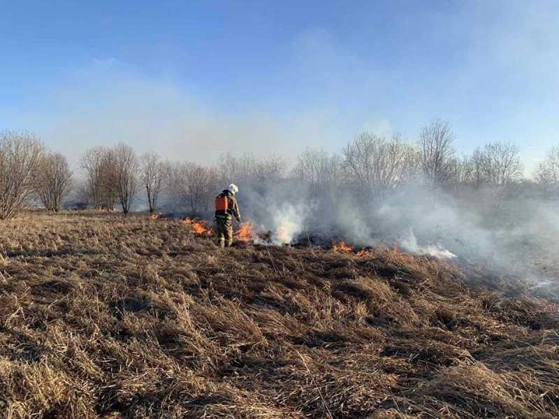 Генпрокуратура внесла представление замгубернатора Тюменской области из-за лесных пожаров