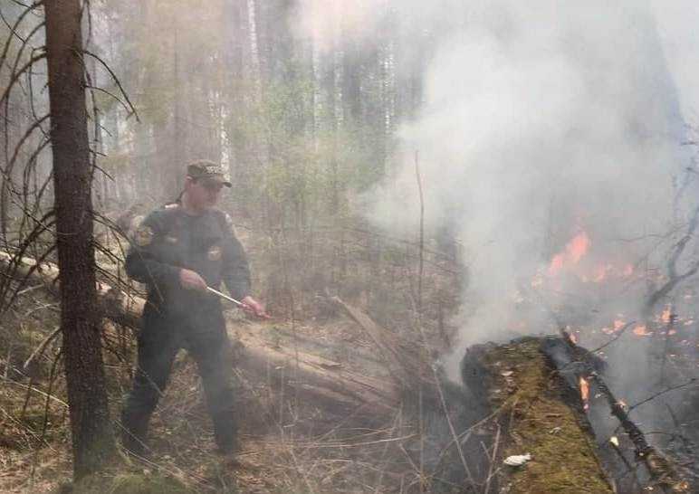 В Тюменской области за сутки возникло 18 новых природных пожаров